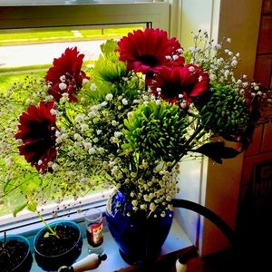 Meet your Posher, Jess